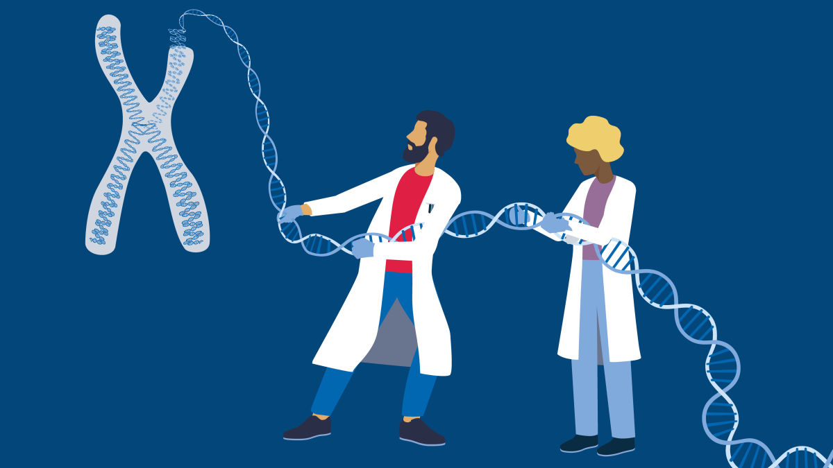 High-Molecular Weight DNA